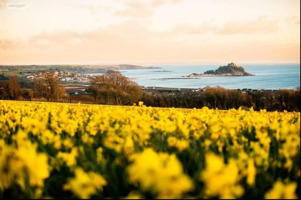 Spacious 1 Bedroom Apartment Near Seafront Penzance Exteriör bild